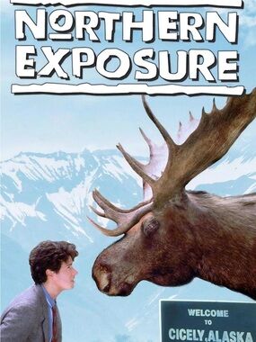 Northern Exposure TV Series SEASONS 1, 2, & 3 ONLY,      $11.00 for all 3 season